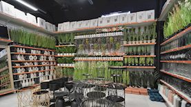 הסטוק, צילום: יחצ